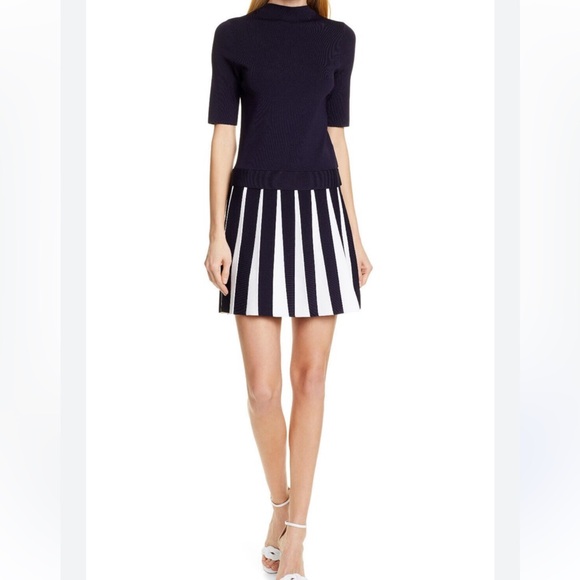 Ted Baker London Dresses & Skirts - TED BAKER London Hethia stretch highneck 
Knit Skater Dress  Size 0 (US 2)